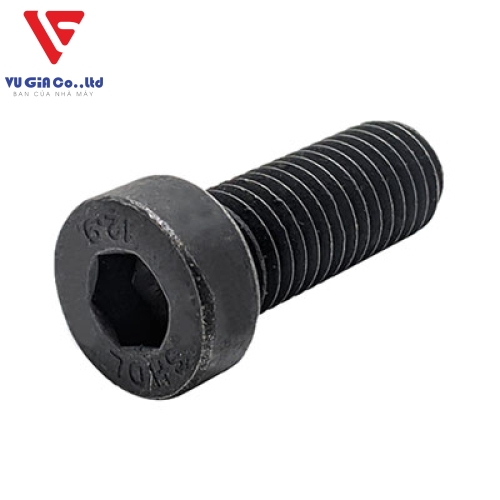 Hex Socket Bolts